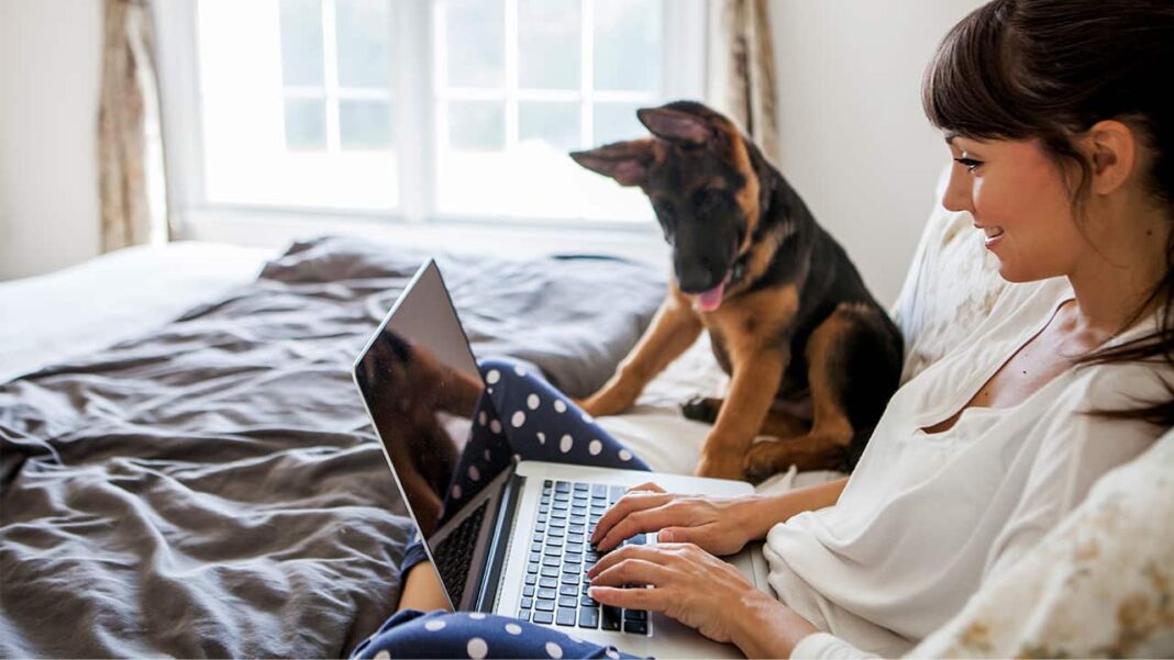 woman on her laptop online shopping with her german shepherd puppy sitting next to her
